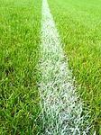 ce397ab42166704d_150_soccer-field