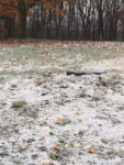 Snow Surprises Butler Co. Residents Early Friday
