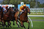 Horse racing returns