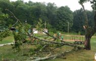 Storms Leave Residents Without Power And Trees Down