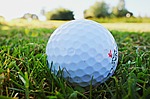 Butler Golf teams take victories