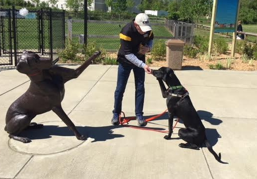 Vaccination And Microchip Clinic For Animals At Alameda