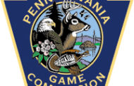 Pennsylvania Game Commission Offering Chronic Wasting Disease Hotline