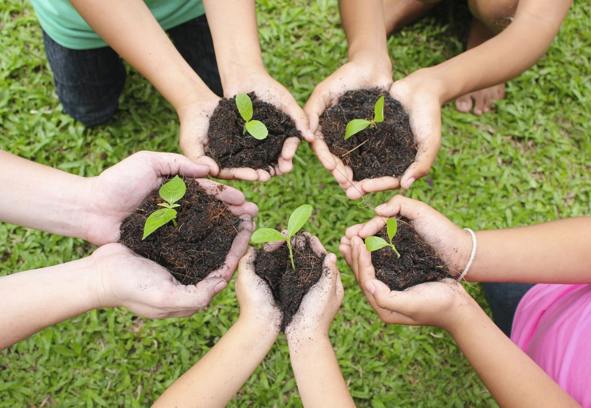 New Gardens Coming To Butler Elementary Schools