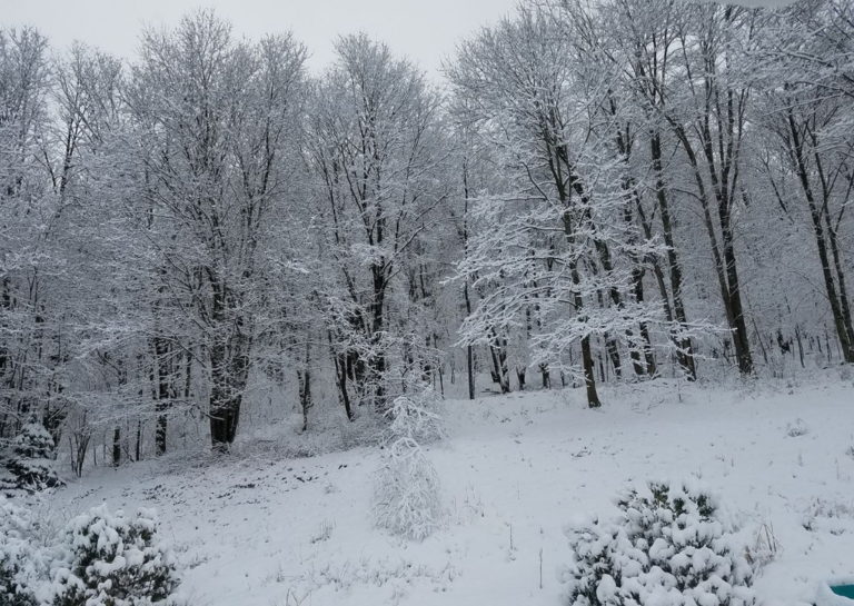 Cranberry Twp. Looking For “Snow Angels”