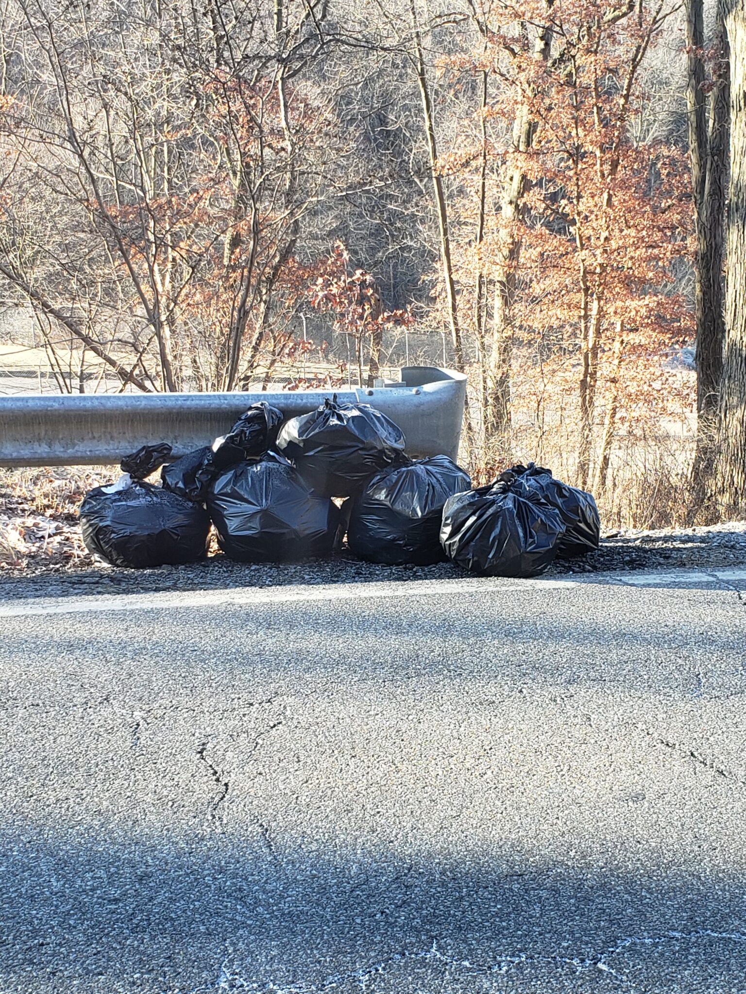 Residents Help With Trash Pickup On Litman Road