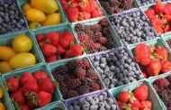 Farm Market Food Vouchers Offered For Seniors