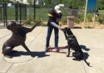 Jade’s Dog Park Closed Until Friday