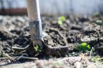 Master Gardeners To Talk Pollination At South Butler Library