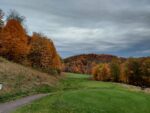 DCNR Says Peak Foliage Is Near