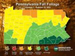 Area Is Approaching Best Color For Fall Foliage