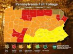 Foliage Hitting “Best Color” This Week