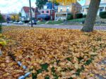 Butler City Leaf Dump Will Not Open This Year