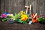 Master Gardeners Kicking Off Series At South Butler Library