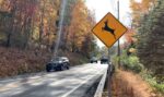 AAA Urges Caution During Deer Mating Season