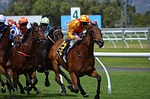 National Treasure Wins Preakness Stakes