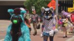 Anthrocon Comes To Pittsburgh