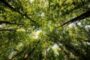 Test Your Nature Knowledge At Jennings