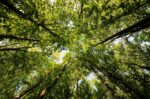 Test Your Nature Knowledge At Jennings