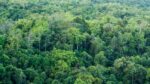 Jennings Center Hosting Nature Trivia Night