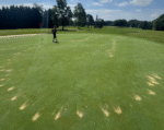 Greens At Lake Arthur Damaged