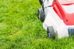 New City Program Aims To Help Residents With Yard Work