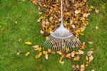 Cranberry’s Leaf Angel Program Returns