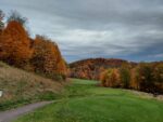 Leaves May Turn Quicker Than Usual This Fall