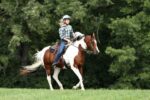 SRU Equestrian Center Receives Grant To Help Veterans