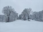 Heavy Snowfall Kicks Off New Year