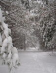 Winterfest Comes To Moraine State Park