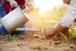 Master Gardeners Hosting Plant Sale