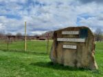 Man Pleads Guilty In Park Shooting Incident